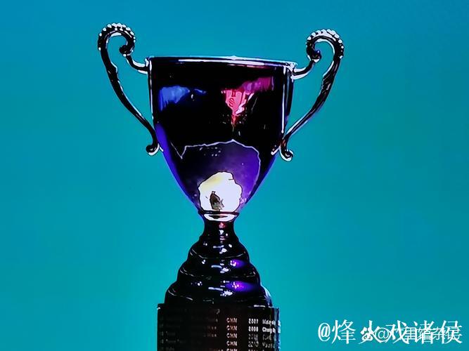 科尔维尔晒奖杯照片：以最佳方式为赛季画下句点